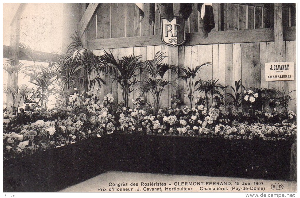 Clermont-Ferrand - Congrès Des Rosiéristes 1 Juin 1907 -  Prix D'honneur : J. Cavanat , Chamalières, 1907 - Clermont Ferrand