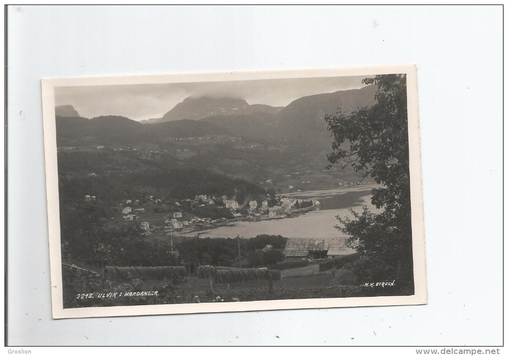 ULVIK I HARDANGER 2213 - Norvège