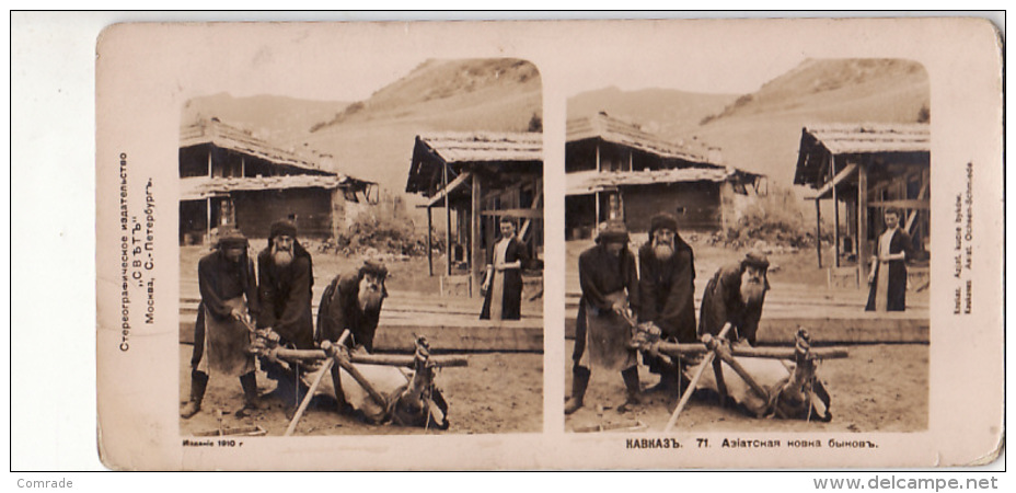 STEREOSCOPIC Stereoview  Caucasus Asian Forging Bulls - Stereoscopic