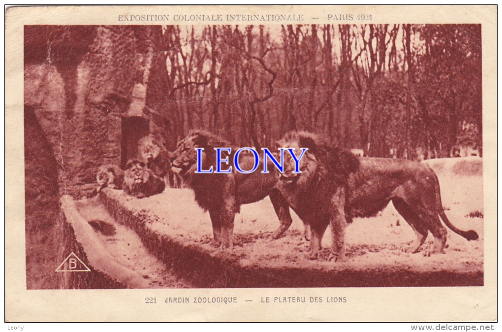 CPSM 9X14  " JARDIN ZOOLOGIQUE - Le PLATEAU Des LIONS - EXPOSITION COLONIALE INTERNATIONALE PARIS 1931 - Lions