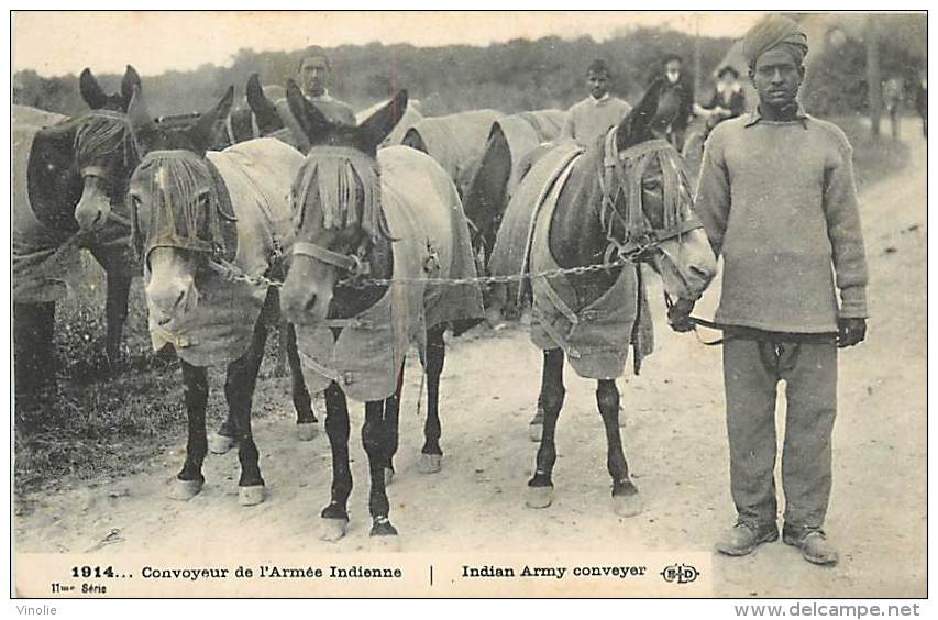 PIE-16 322 :  CONVOYEUR DE L ARMEE INDIENNE  INDIAN ARMY CONVEYER ANE MULE - Guerre 1914-18