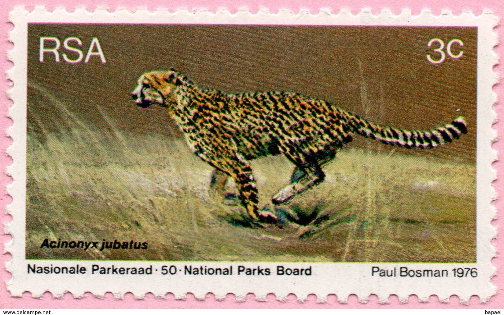 N° Yvert & Tellier 405 - Timbre D'Afrique Du Sud (RSA) (1976) - MNH - Guépard - Neufs