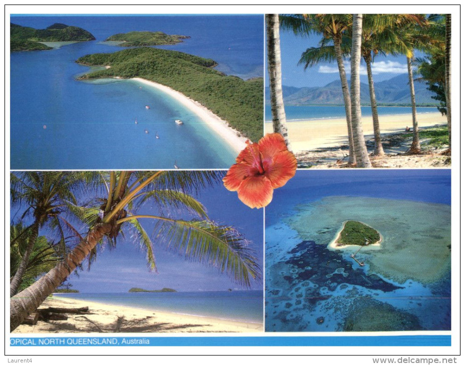 (244) Australia (with Stamp At Back Of Postcard) - QLD - North QLD - Far North Queensland