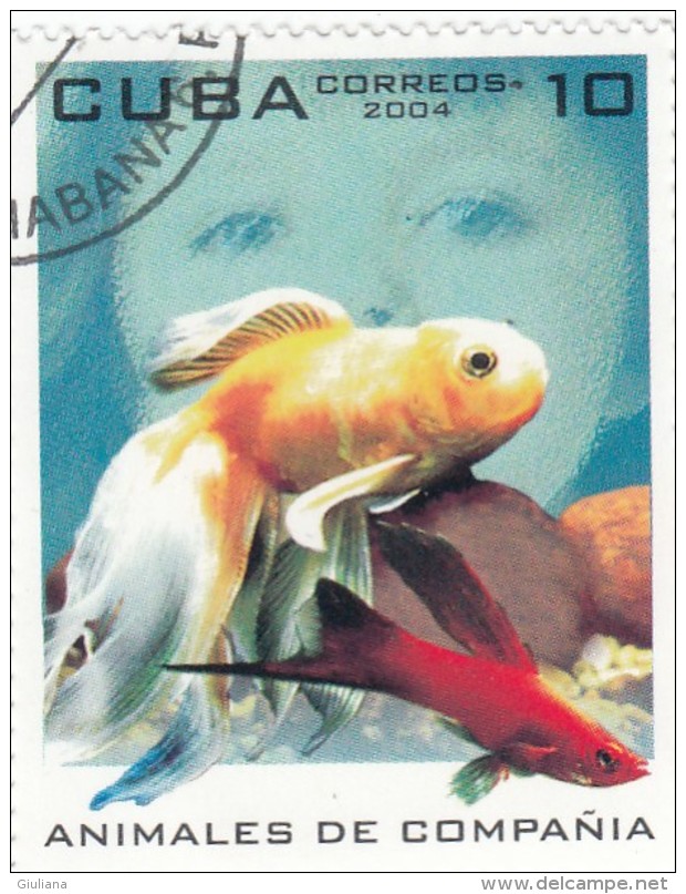 Cuba 2004 - 1 Stamp Used - Oblitérés