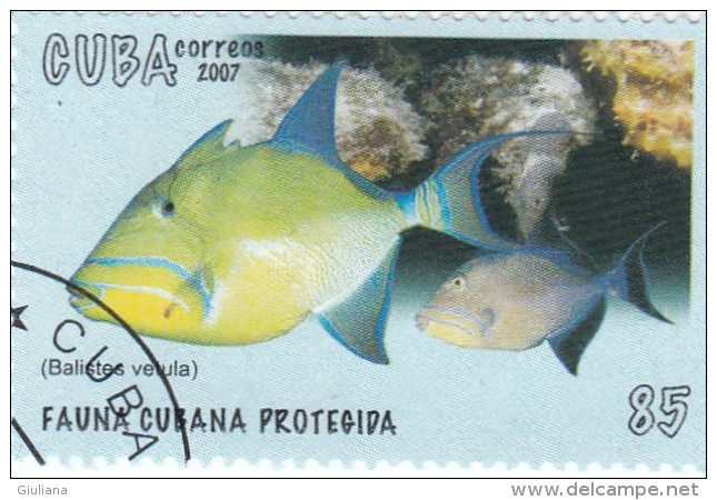 Cuba 2007 - 1 Stamp Used - Gebruikt