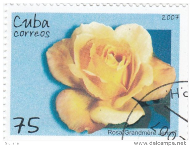 Cuba 2007 - 1 Stamp Used - Gebraucht