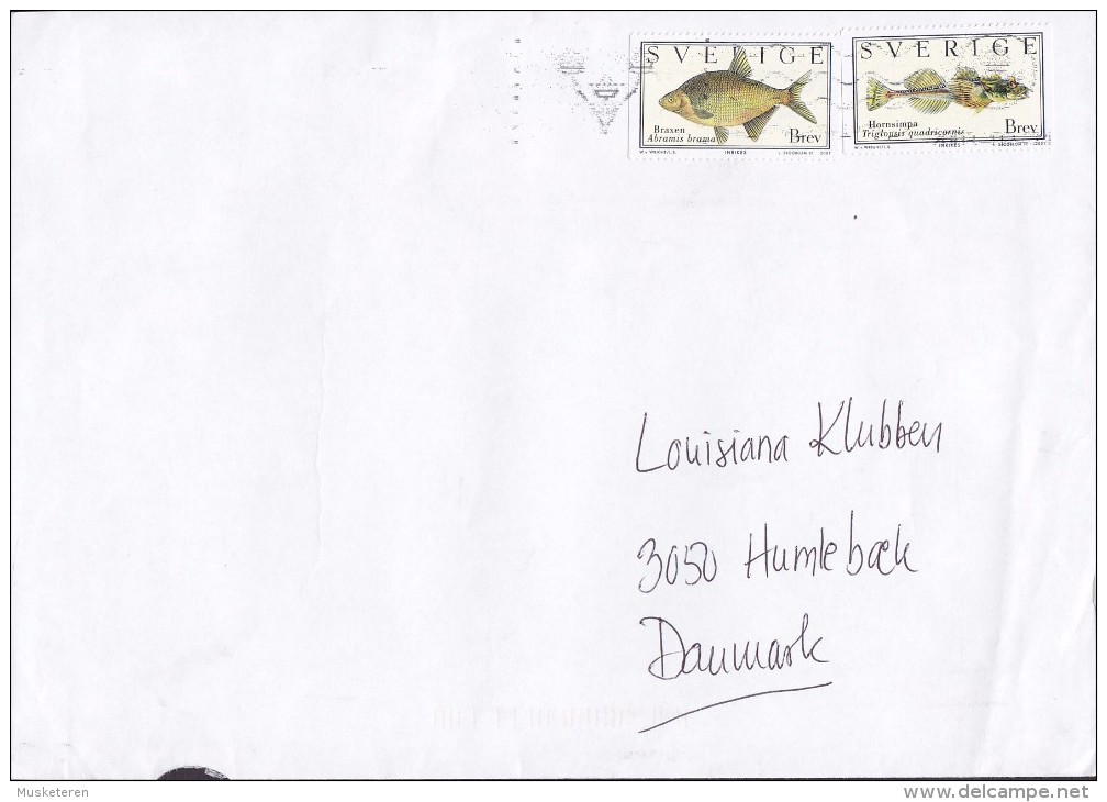 Sweden 2001? Cover Brief Modern Art Museum "Louisiana" HUMLEBÆK Denmark Fish Fische Poisson Braxen & Hornsimpa Stamps - Covers & Documents