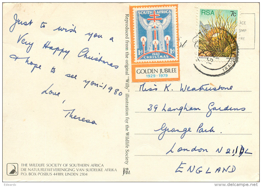 Warthogs And Santa Claus, Cartoon, South Africa Postcard Posted 1979 Stamp - Südafrika