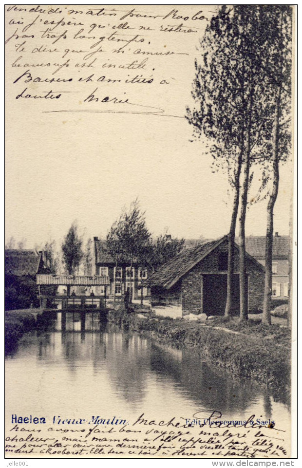 Haelen Halen Vieux Moulin 1903 - Halen