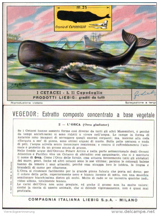 ! Chromo Italiana, Italienische Liebigbilderserie 418 Fischfang, Walfang, Whales, Balene, Poissons - Liebig