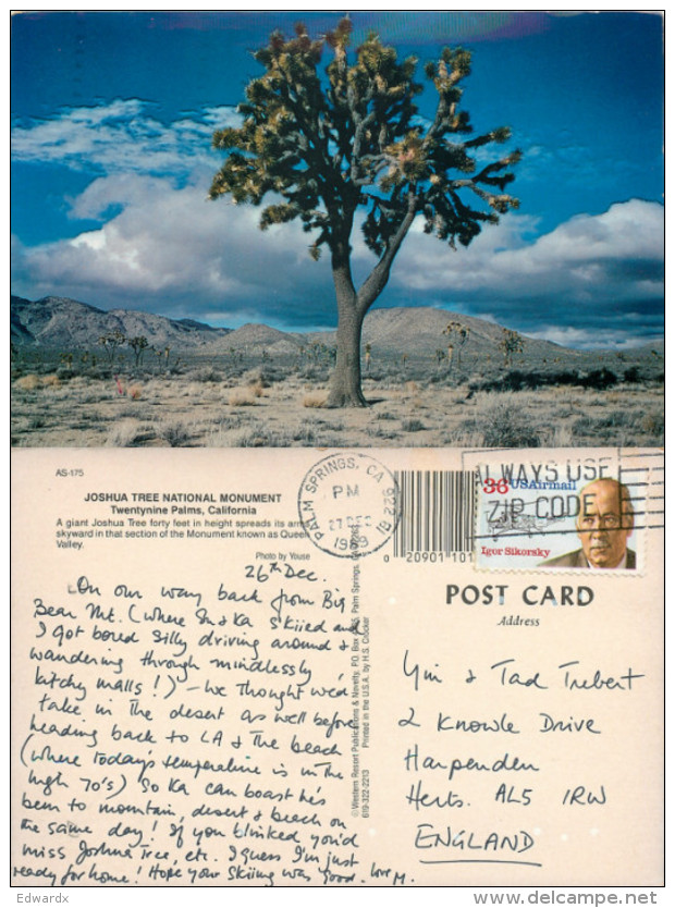 Joshua Tree National Monument, California, United States US Postcard Posted 1989 Stamp - Autres & Non Classés