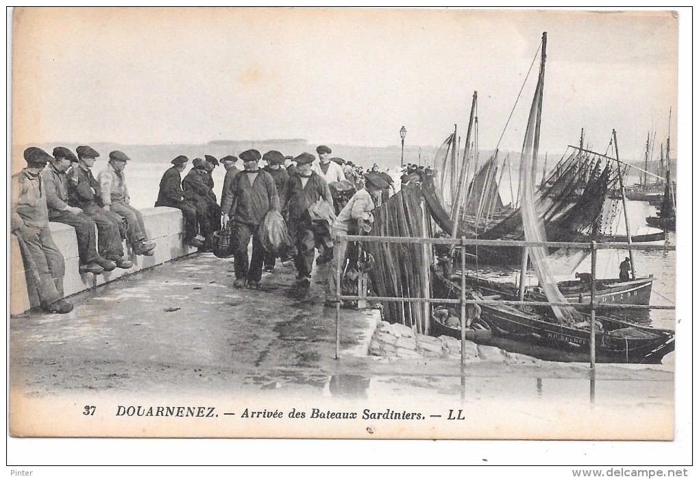 DOUARNENEZ - Arrivée Des Bateaux Sardiniers - Douarnenez