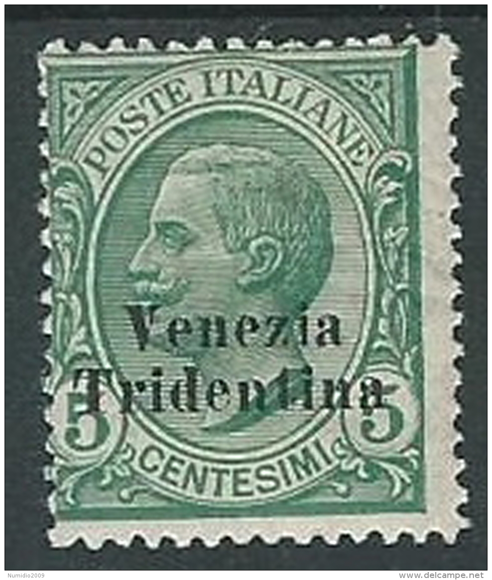 1918 TRENTINO ALTO ADIGE EFFIGIE 5 CENT MH * - P12-7 - Trento