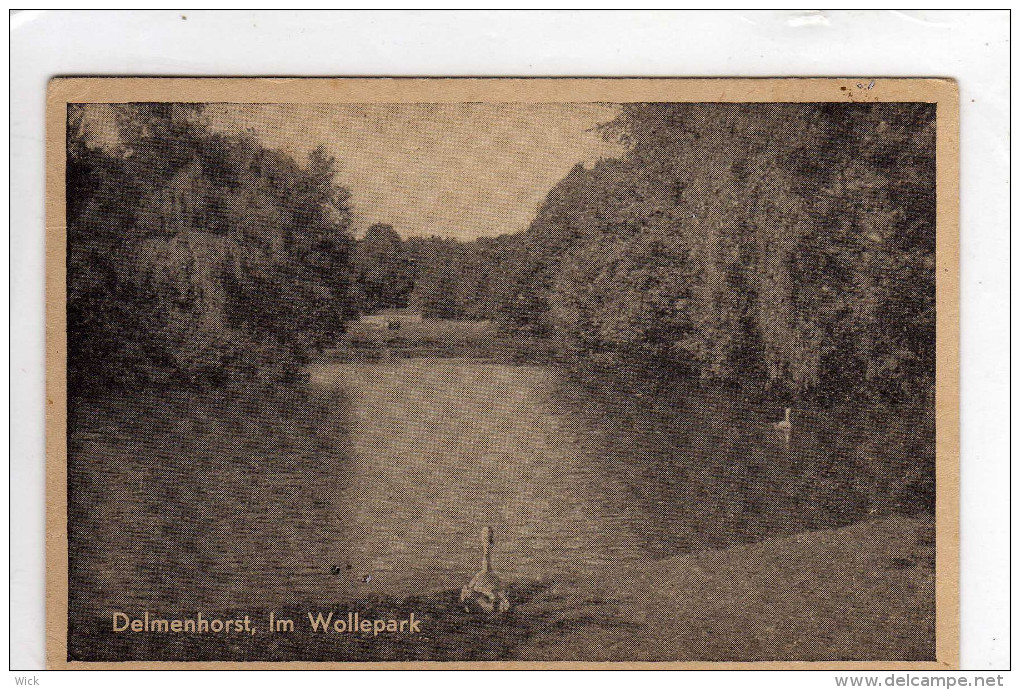 AK Delmenhorst -Im Wollepark -selten!!! - Delmenhorst