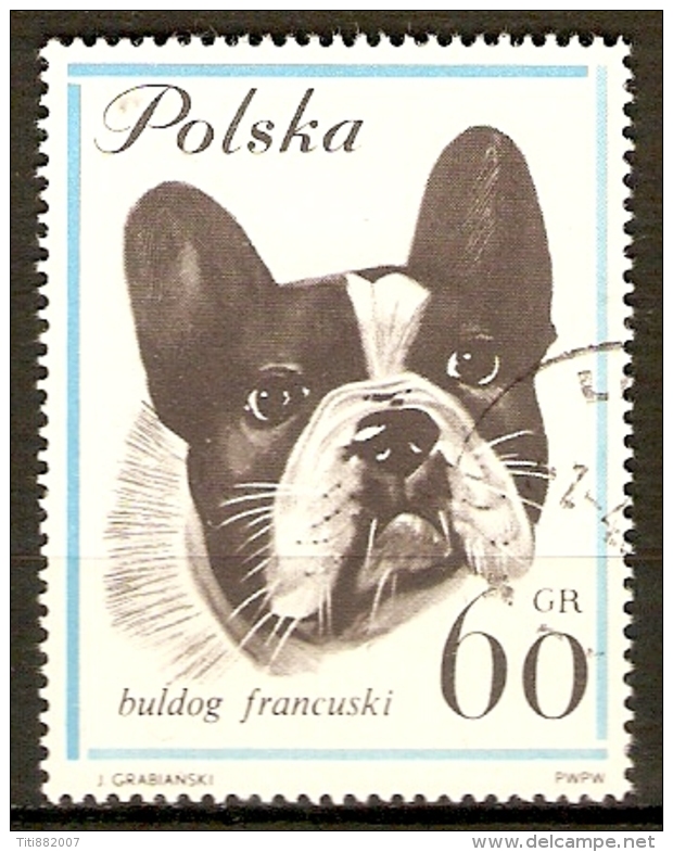 POLOGNE    -   CHIEN  /  BOULEDOGUE  FRANCAIS -    . Oblitéré - Chiens