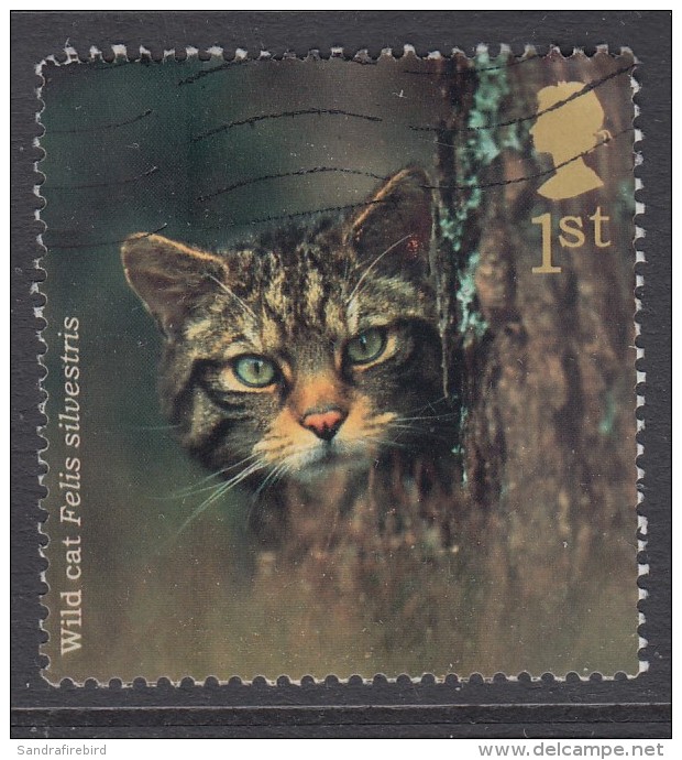 GREAT  BRITAIN  2004 Woodland Animals -  Wildcat (Felis Silvestris)  1st SG2483 Used - Oblitérés