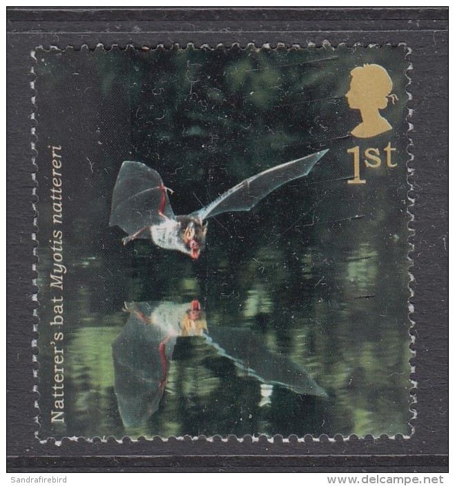 GREAT  BRITAIN  2004 Woodland Animals -  Natterer's Bat (Myotis Nattereri)  1st SG2486 Used - Used Stamps