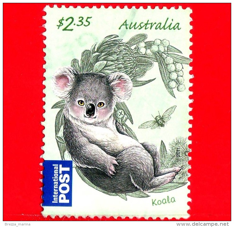 AUSTRALIA - Usato - 2011 - Animali  - Cuccioli - Koala - (Phascolarctos Cinereus) - International - $ 2.35 - Usati