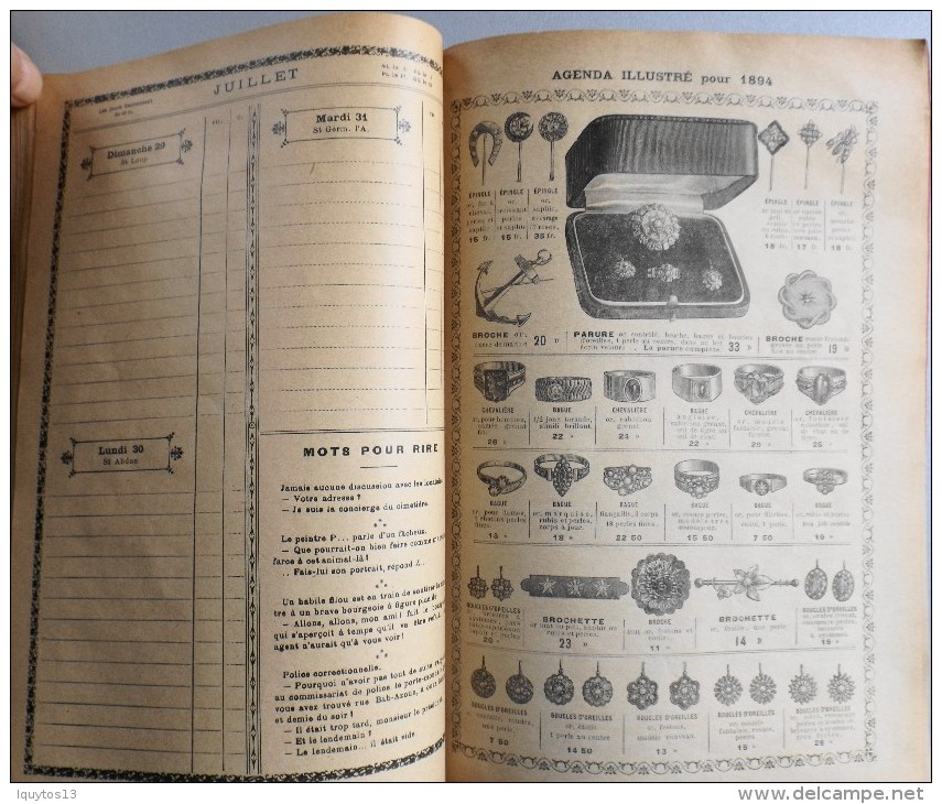 GRAND AGENDA ILLUSTRE pour l'année 1894 - GRANDS MAGASINS AU PRINTEMPS ALAIS (Gard) - Catalogue de Vente - En l'Etat