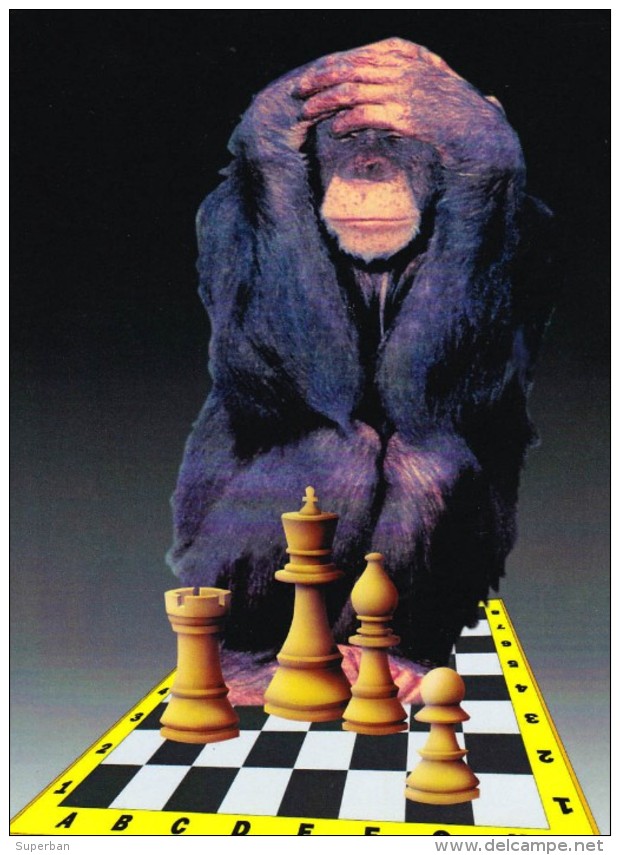 SINGE / CHIMPANZÉ Aux ÉCHECS / MONKEY At CHESS / SCHACH Und AFFE - CAISSA / KECSKEMET (u-866) - Echecs