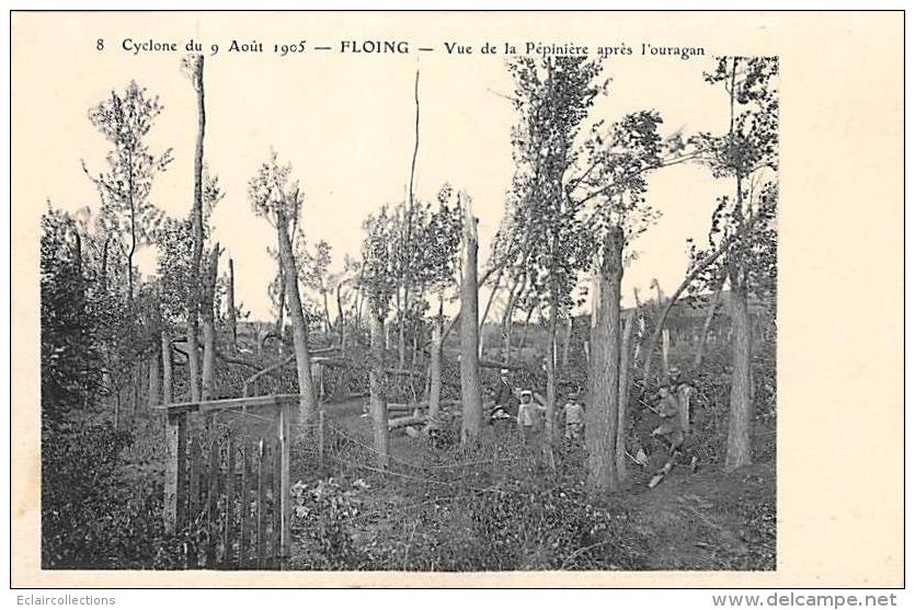 Floing      08       Cyclone De 1905 .   Pépinière Après L'ouragan - Sonstige & Ohne Zuordnung