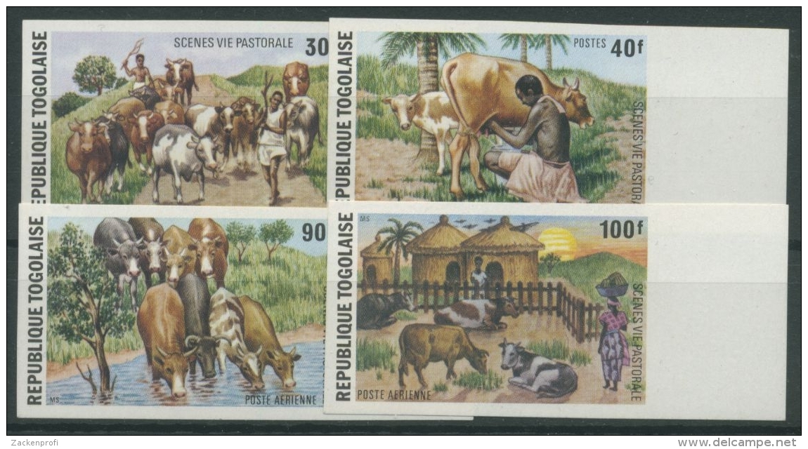 Togo 1974 Szenen Aus Dem Hirtenleben Rinder 1070/73 B Postfrisch - Togo (1960-...)