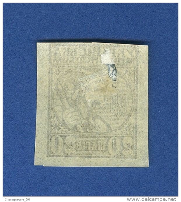 1918 N° 40 NON DENTELÉE  20 NEUF GOMME DOS CHARNIÈRE - Ukraine & Westukraine