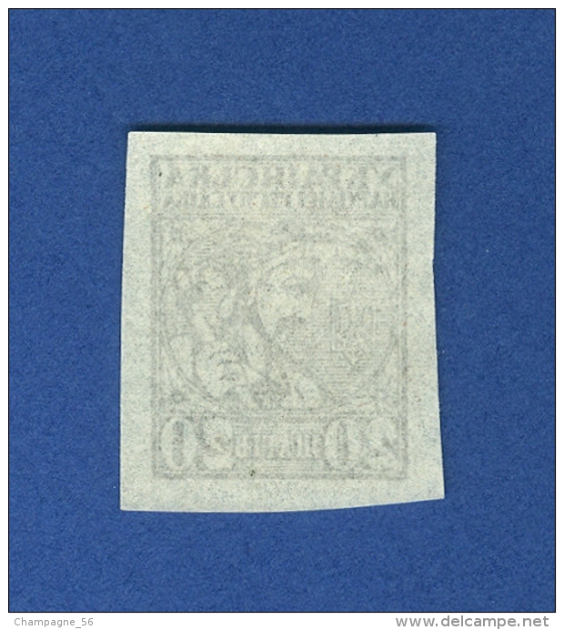 1918 N° 40 NON DENTELÉE 20 NEUF SANS GOMME - Ukraine & West Ukraine