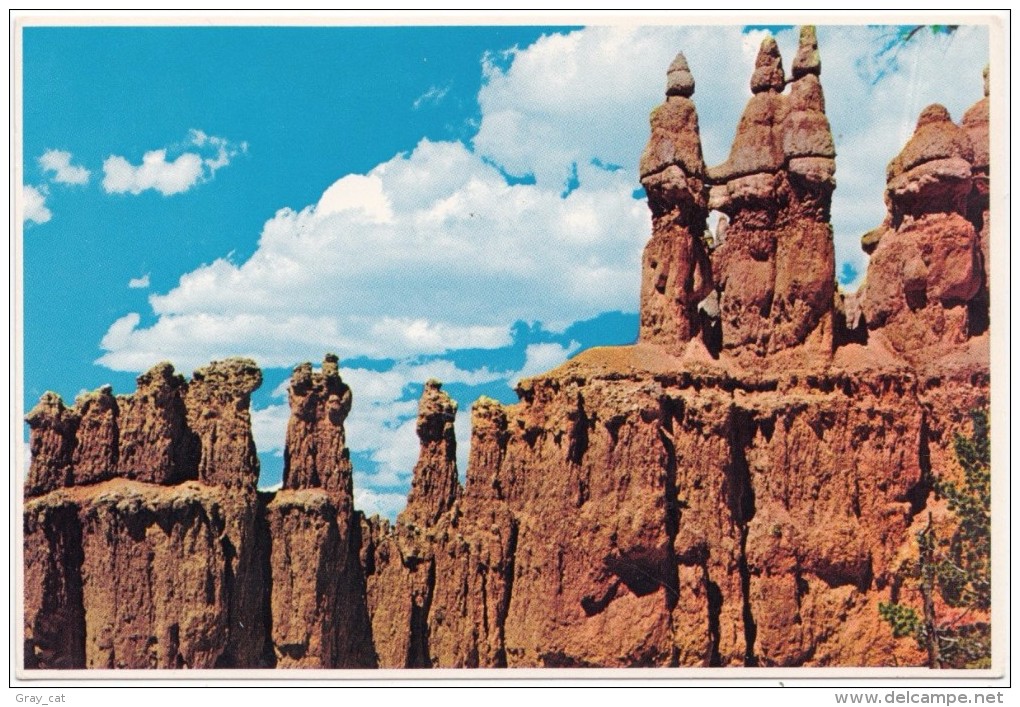 The Three Wise Men, Bryce Canyon National Park, Utah, Unused Postcard [18862] - Bryce Canyon