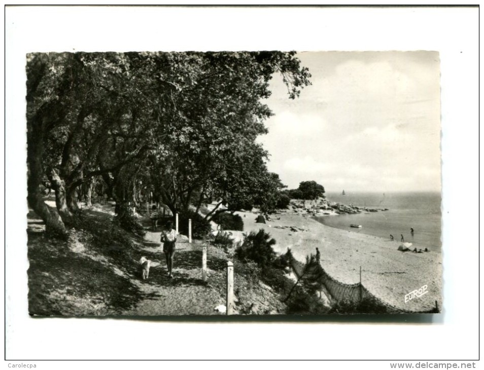 CP - Noirmoutier (85) La Plage St Pierre Et La Promenade Du Bois De La Chaize - Noirmoutier