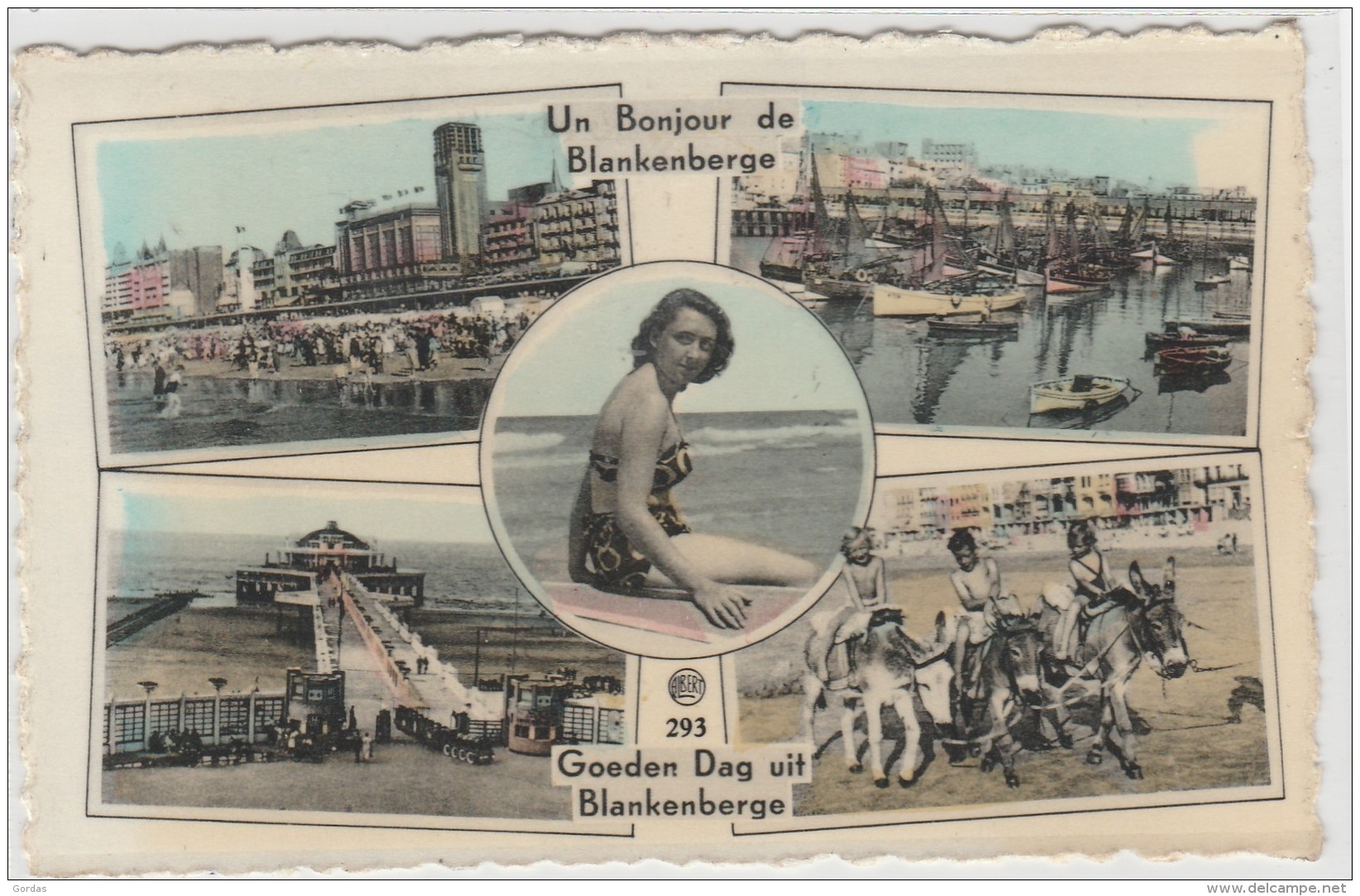 Germany - Blankenberge - Donkey - Sternberg