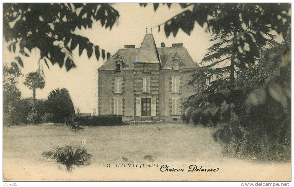 Dép 85 - Chateaux - Aizenay - Château Delaroze - 2 Scans - état - Aizenay