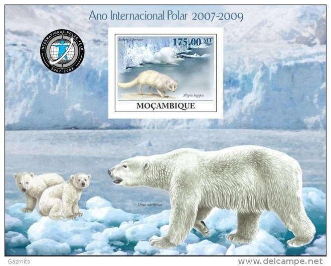 Mozambico 2009, International Polar Year, Polar Bears, BF IMPERFORATED - International Polar Year