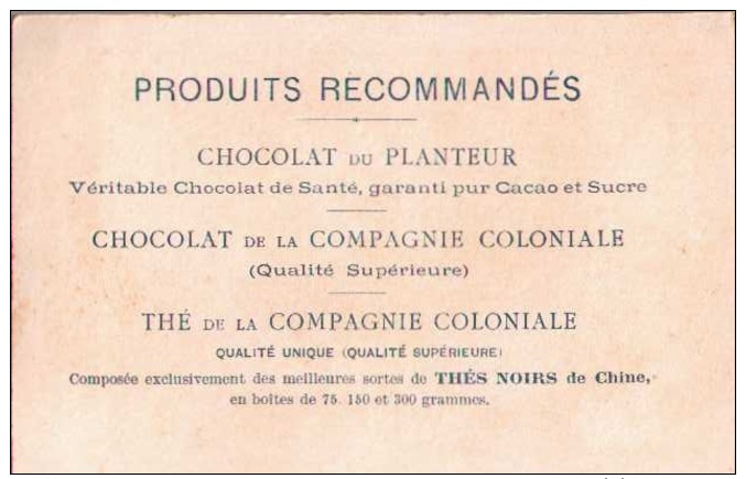 Chromo  CHOCOLAT DU PLANTEUR -  Petit Pâtissier  - Scans Recto-verso - Sonstige & Ohne Zuordnung