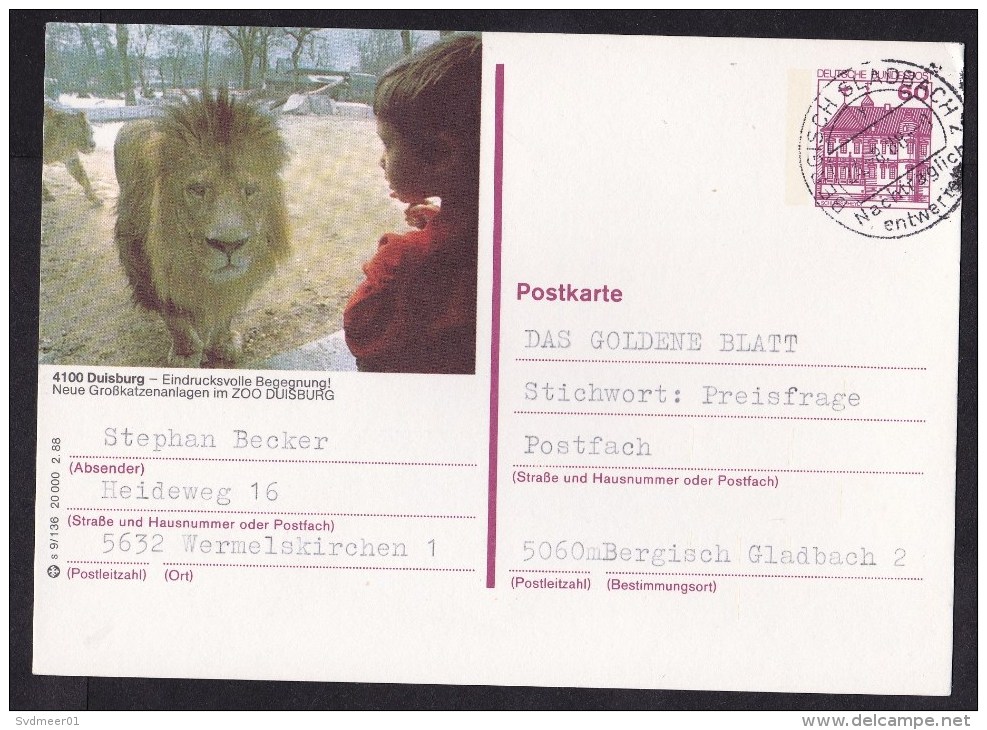 Germany: Stationery Illustrated Postcard, 1988, Lion, Zoo Duisburg, Cancel 'cancelled At Destination' (traces Of Use) - Brieven En Documenten