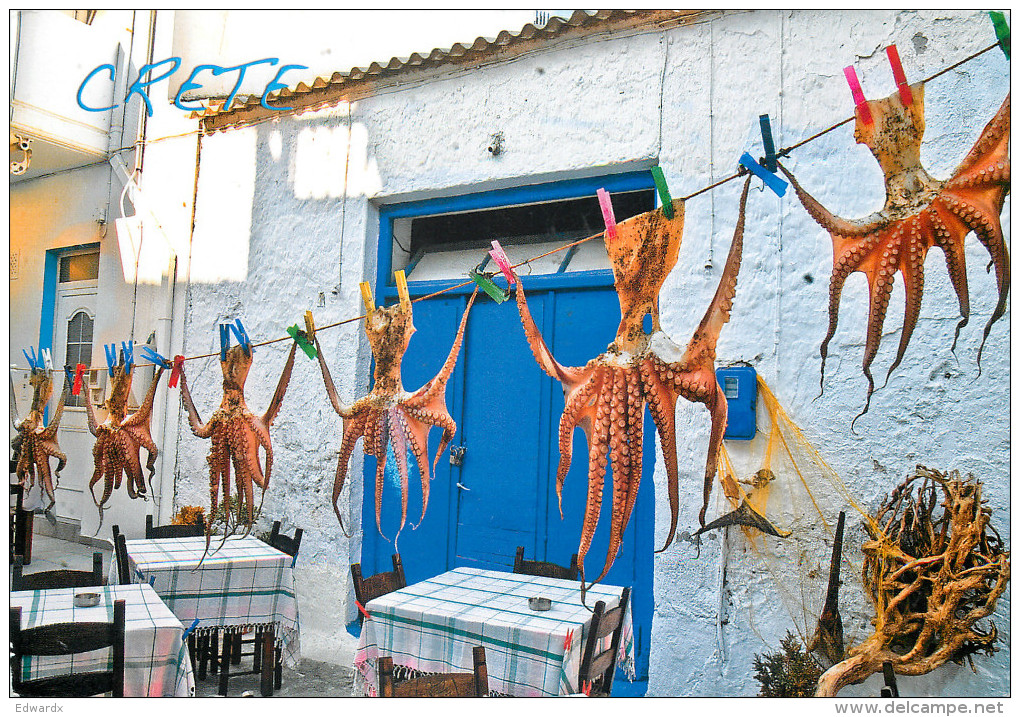 Drying Octopus, Crete, Greece Postcard Posted 2013 Stamp - Griekenland