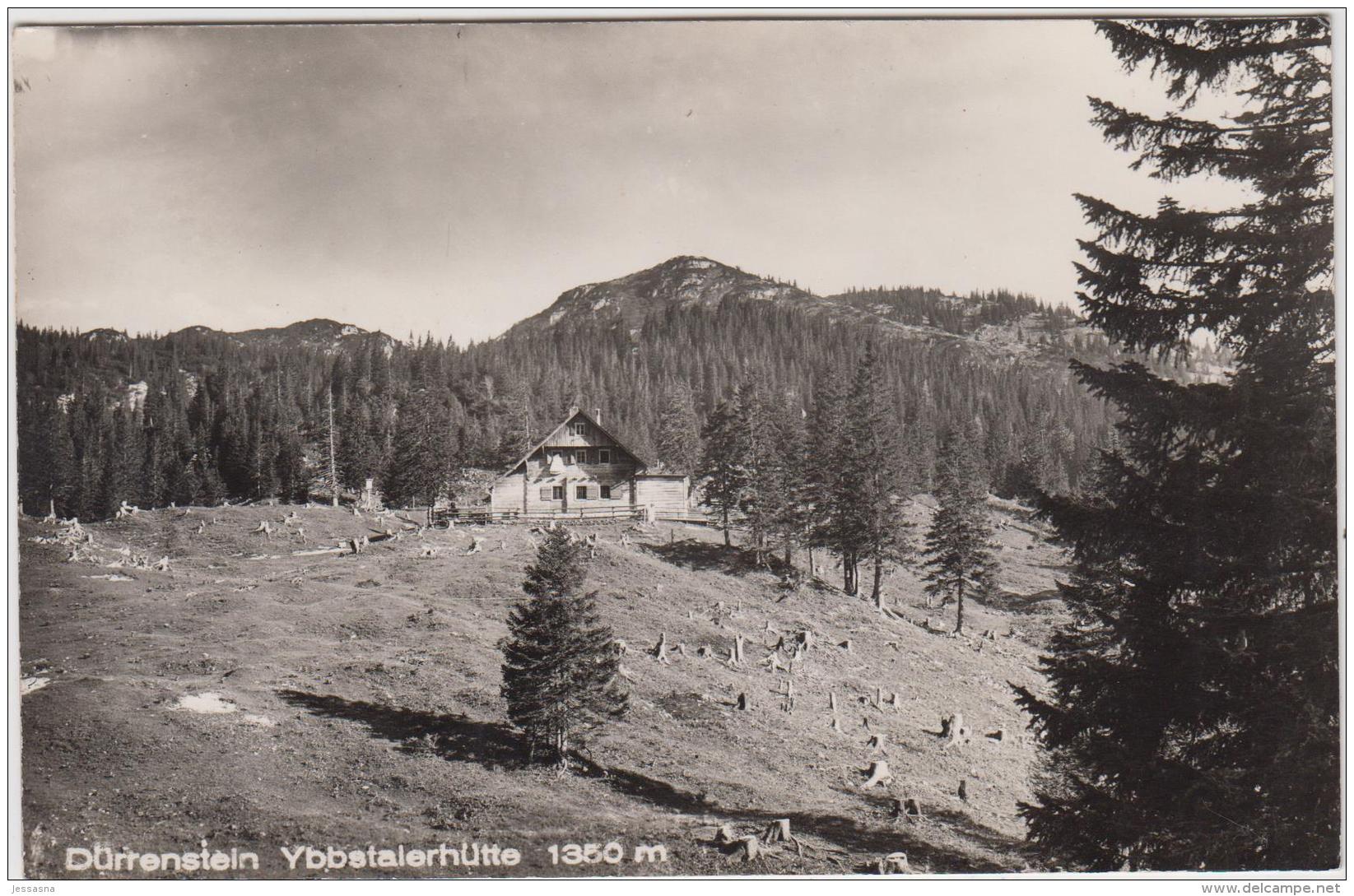 AK - NÖ - Dürrenstein Ybbstalerhütte - 1960 - Scheibbs