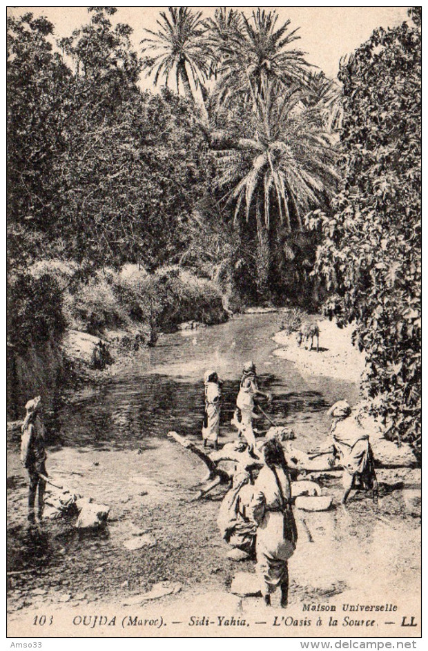 6664. CPA MAROC. OUJDA. SIDI-YAHIA. L'OASIS A LA SOURCE. - Autres & Non Classés