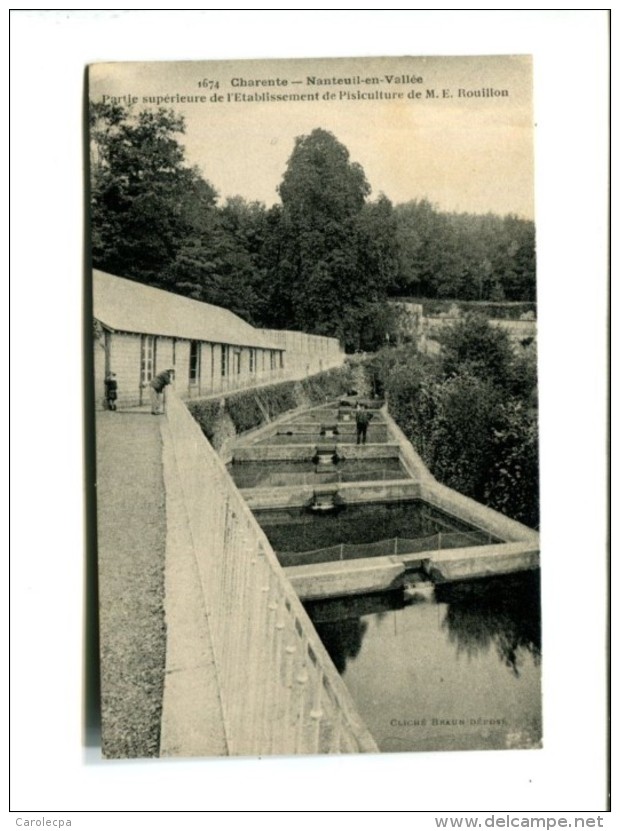 CP - Nanteuil En Vallee (16) Partie Superieure De L Etablissement De Pisiculture De M.E ROUILLON - Autres & Non Classés