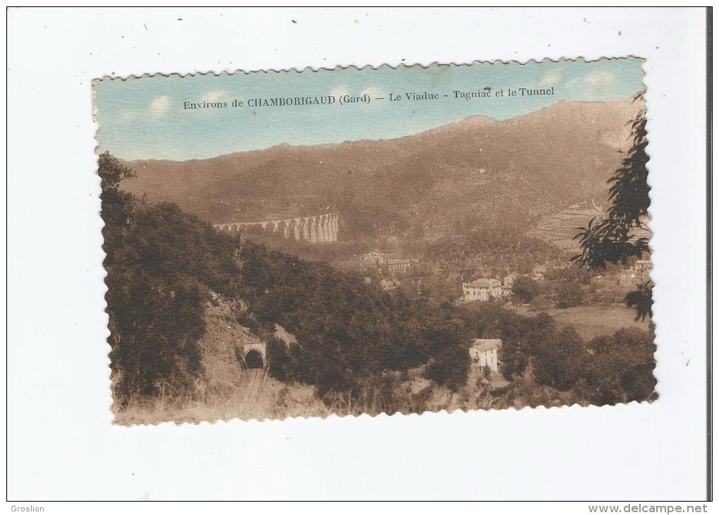 ENVIRONS DE CHAMBORIGAUD (GARD) LE VIADUC TAGNIAC ET LE TUNNEL - Chamborigaud