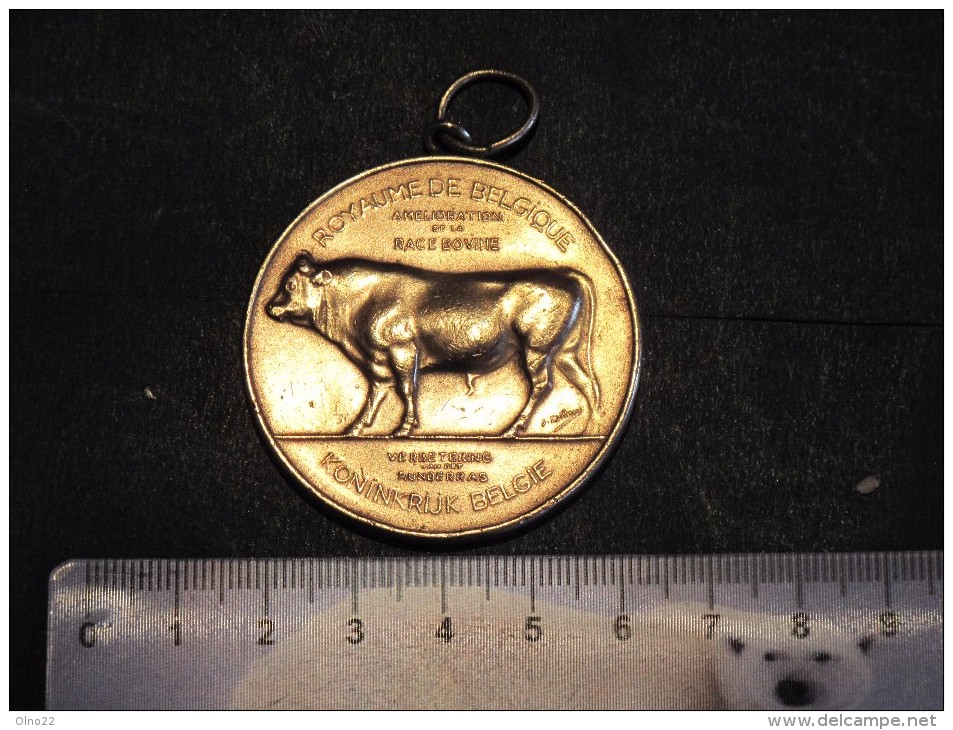 MEDAILLE - ROYAUME DE BELGIQUE - AMELIORATION DE LA RACE BOVINE - LIEGE -SIGNEE - Andere & Zonder Classificatie