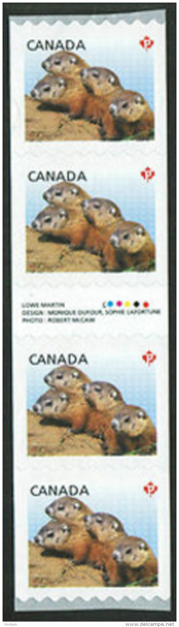 CANADA 2013,  2604i,   WILDLIFE BABIES:  WOODCHUCKS,   STRIP Of 4  With Gutter ,  MNH - Coil Stamps