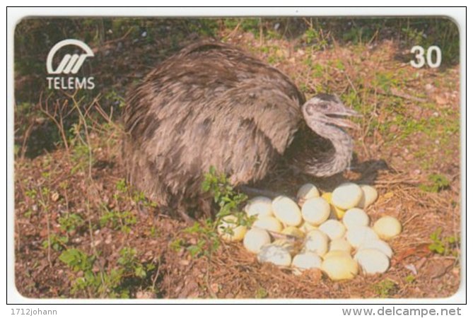 BRASIL B-813 Magnetic Telems - Animal, Bird, Emu - Used - Brésil