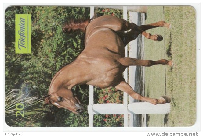 BRASIL B-889 Magnetic Telefonica - Animal, Horse - Used - Brazil