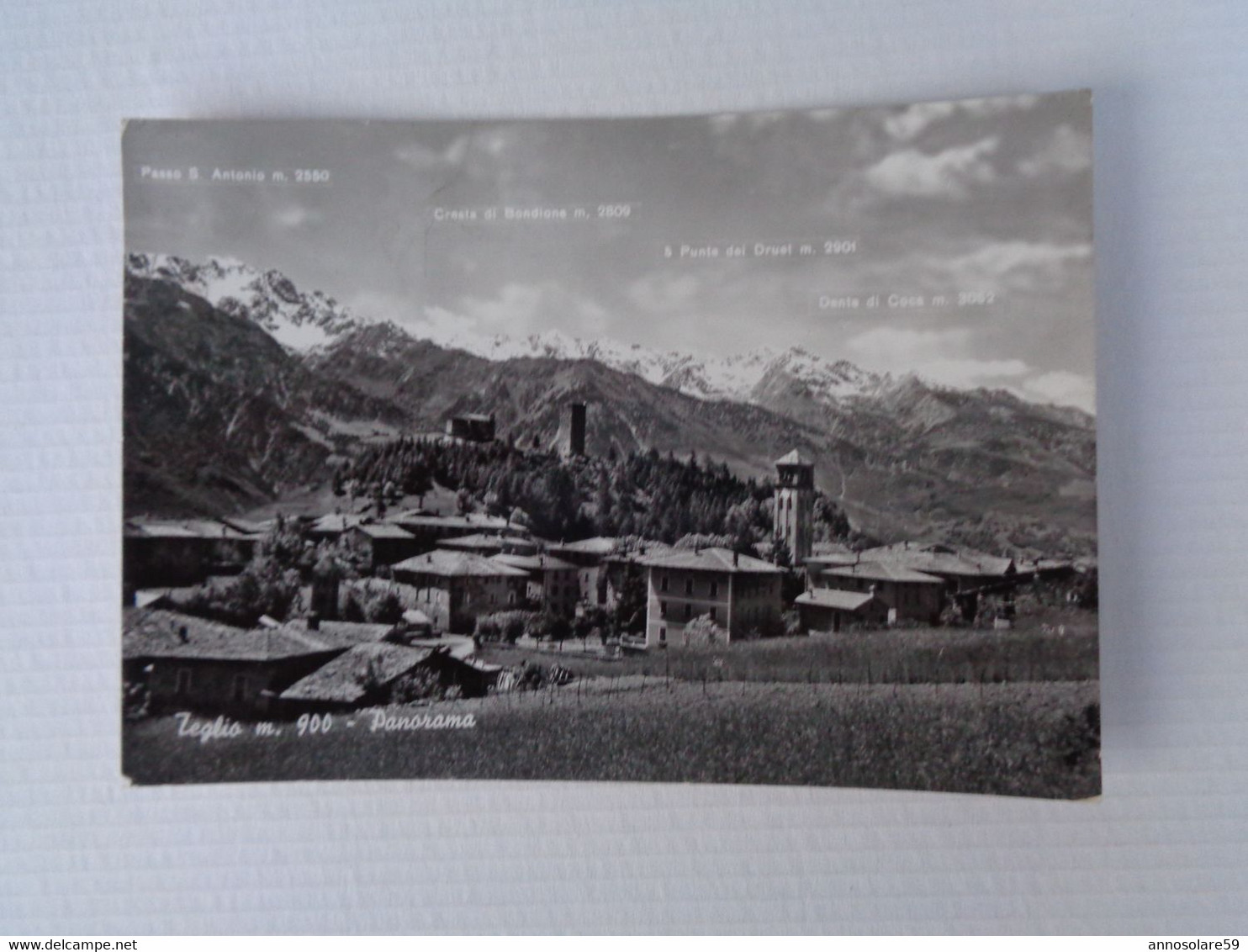 CARTOLINA: TEGLIO M. 900 (SONDRIO) PANORAMA - VIAGGIATA - F/G - B/N - LEGGI - Andere & Zonder Classificatie