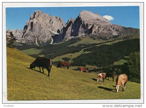 ITALY - AK280001 Dolomiti - Seiseralm - Altri & Non Classificati