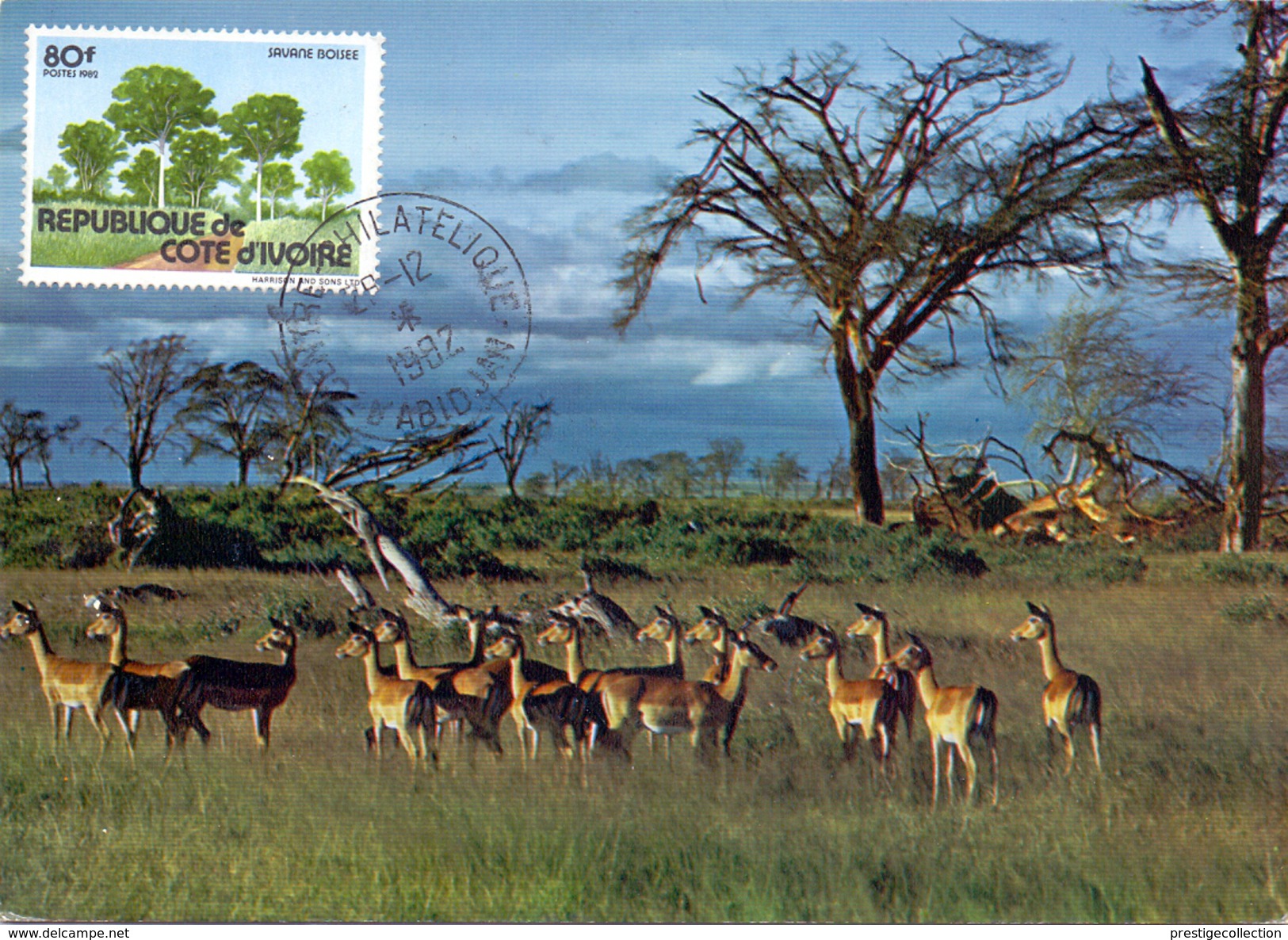 COSTA D'AVORIO FAUNE AFRICAINE (AGO160161) - Costa D'Avorio