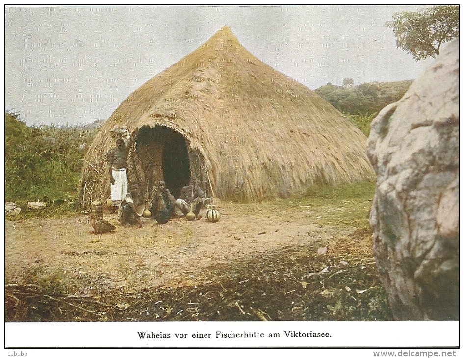 Deutsch Ostafrika - Waheias Vor Einer Fischerhütte Am Viktoriasee           Ca. 1900 - Ehemalige Dt. Kolonien