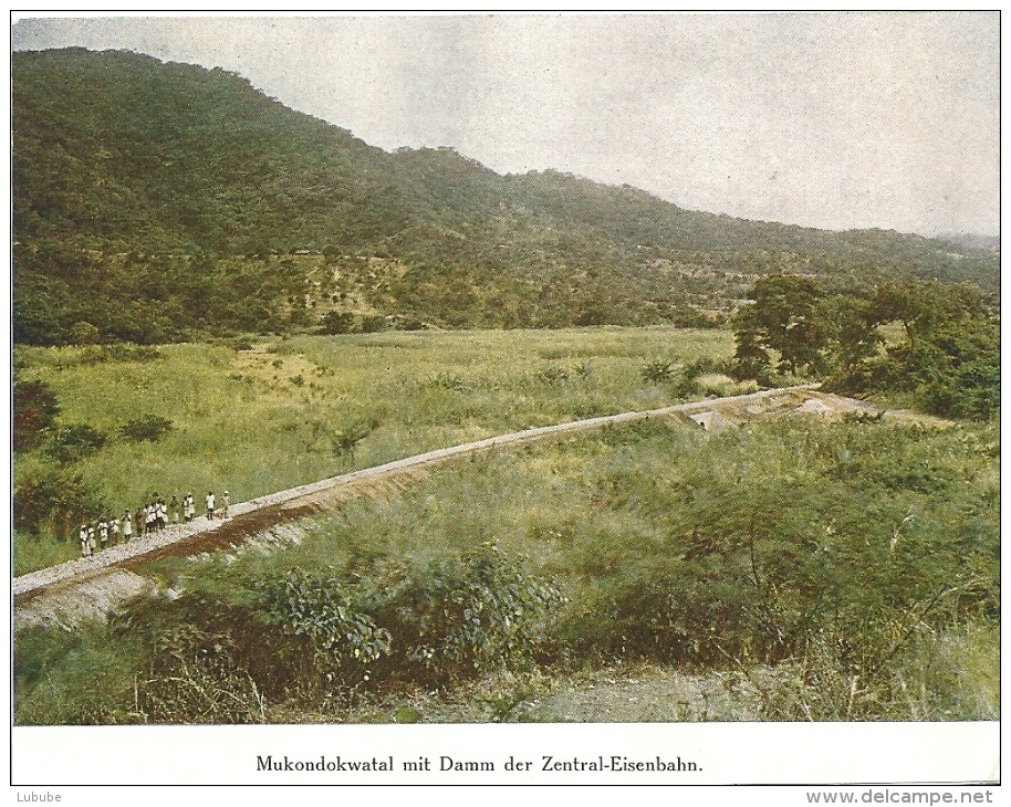 Deutsch Ostafrika - Mukondokwatal Mit Damm Der Zentral-Eisenbahn           Ca. 1900 - Ehemalige Dt. Kolonien