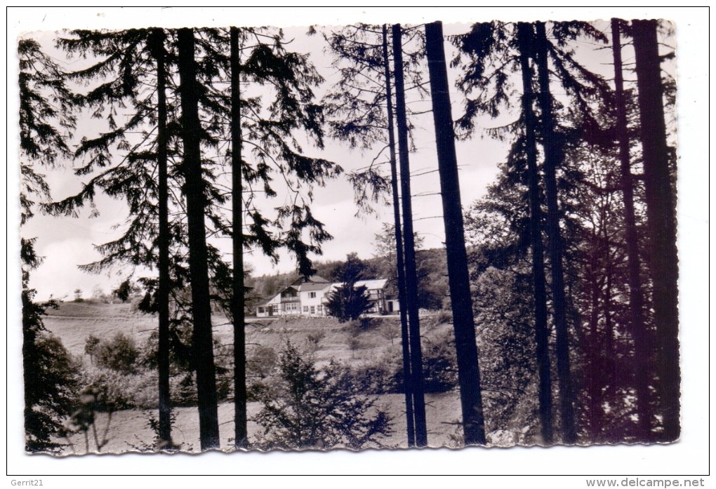 3354 DASSEL - LÜTHORST, "Wildwiese", 1962 - Northeim